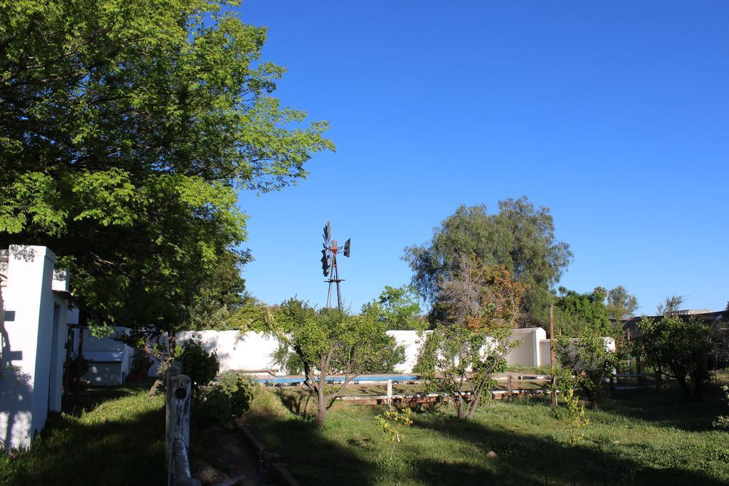 Acacia Cottage Принс Алберт Екстериор снимка